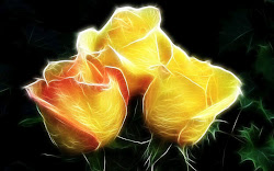 rose yellow desktop roses background wallpapers artistic fractal flower flowers backgrounds abstract sunshine neon lily petals digital wallpapersafari computer leaf