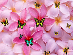 girly cute wallpapers pink backgrounds floral lovely hd animated desktops desktop flowers phone butterfly bing ipad