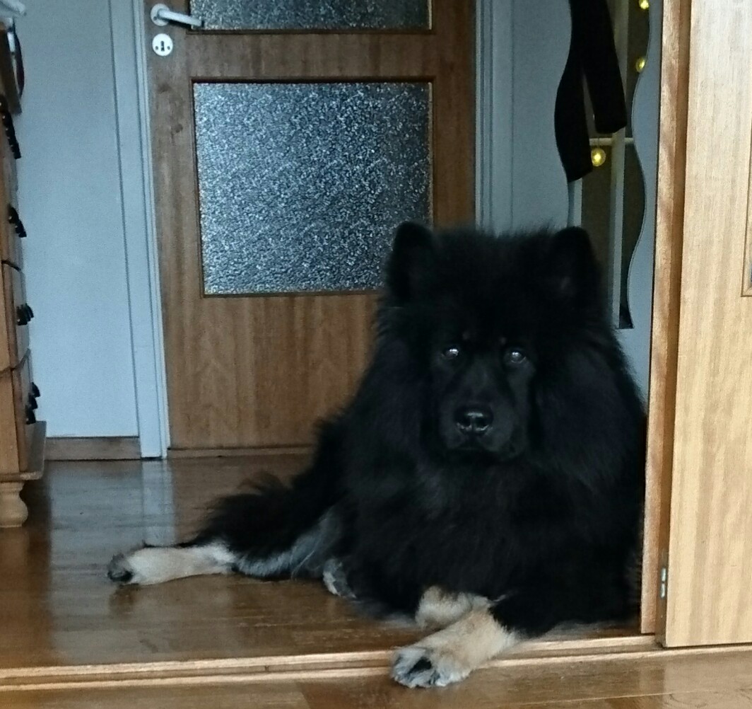 Bloggen om Freja och Totte: Det kliar på Laban