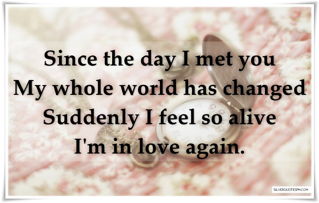 The Day I Met You Quotes Since The Day I Met You - Silver Quotes