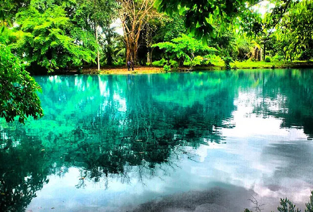 Gambar Danau Linting Sumatera Utara