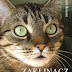 "Zaklinacz Kotów" - recenzja