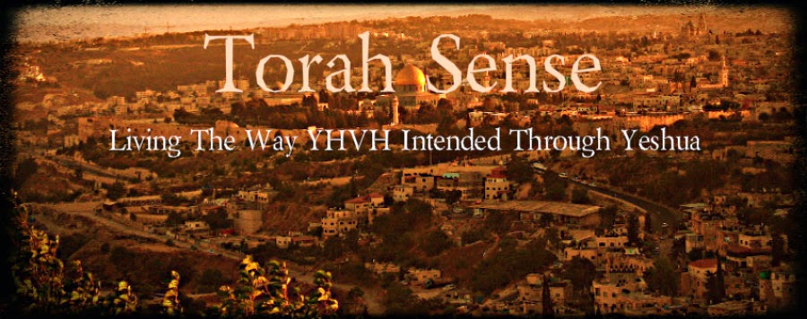 Torah Sense