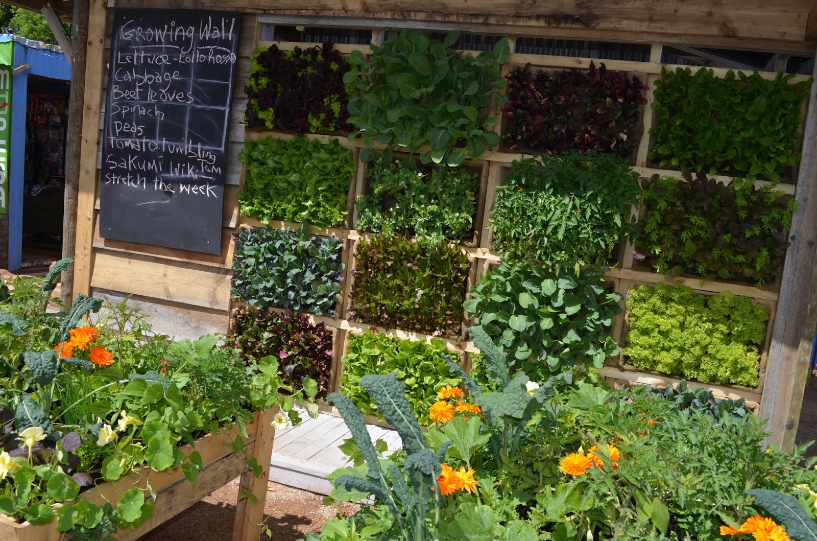 Kelli's Northern Ireland Garden Bloom Garden Show Dublin