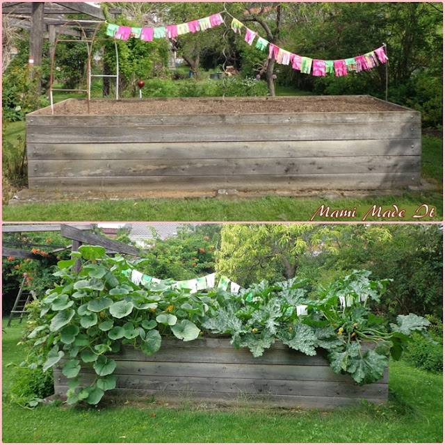 Garden Beds Before-After - Gartenbeete Vorher-Nachher