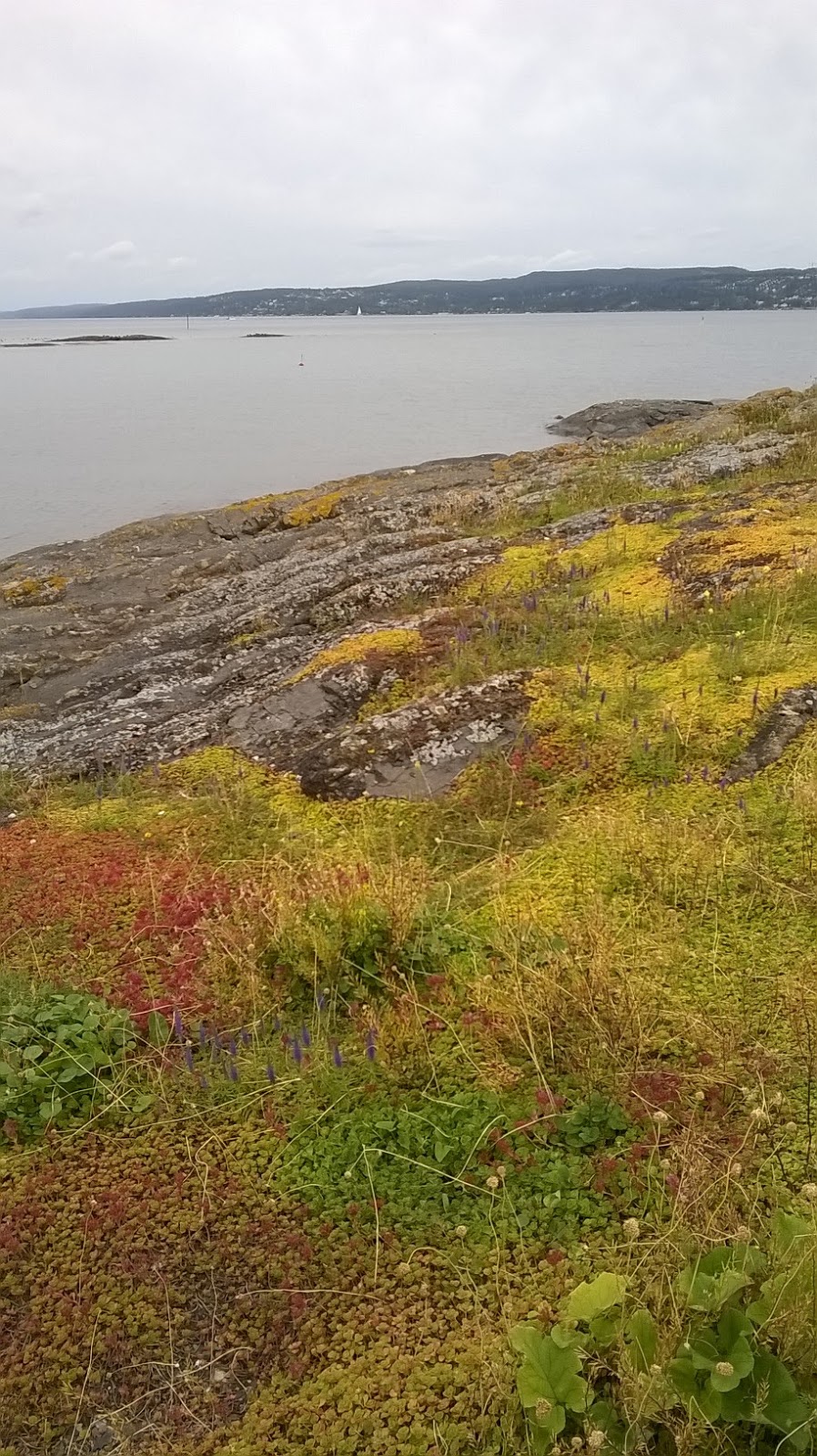 Mindenütt jóóó: Oslo szigetei: Hovedøya, Nakholmen, Lindøya - Oslo ...