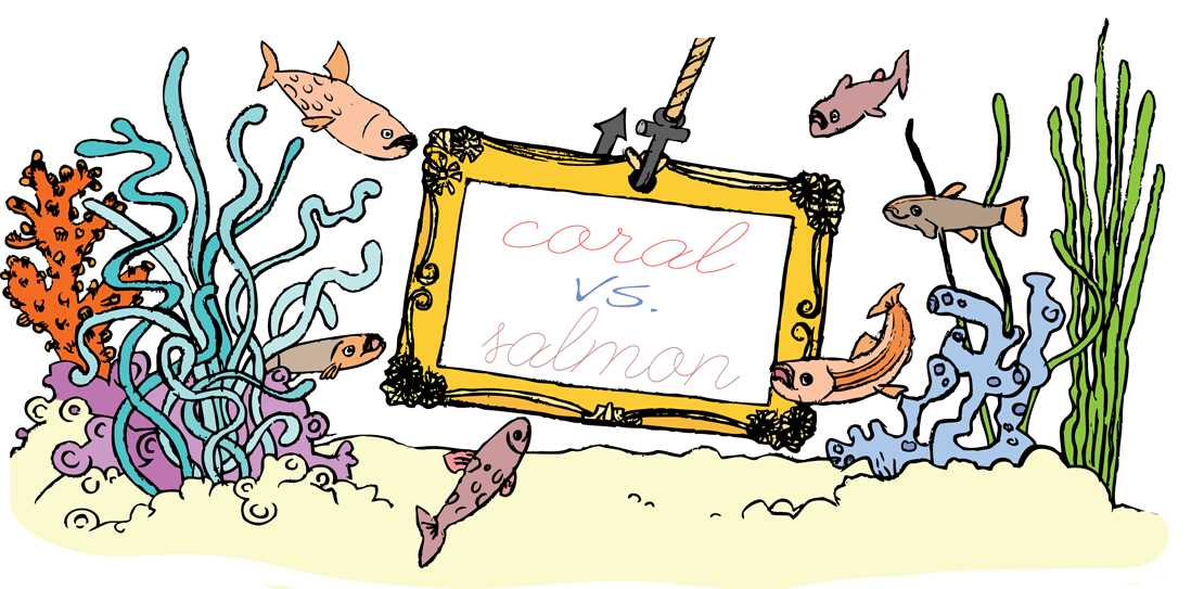 Coral vs. Salmon