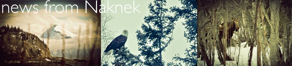 News from Naknek