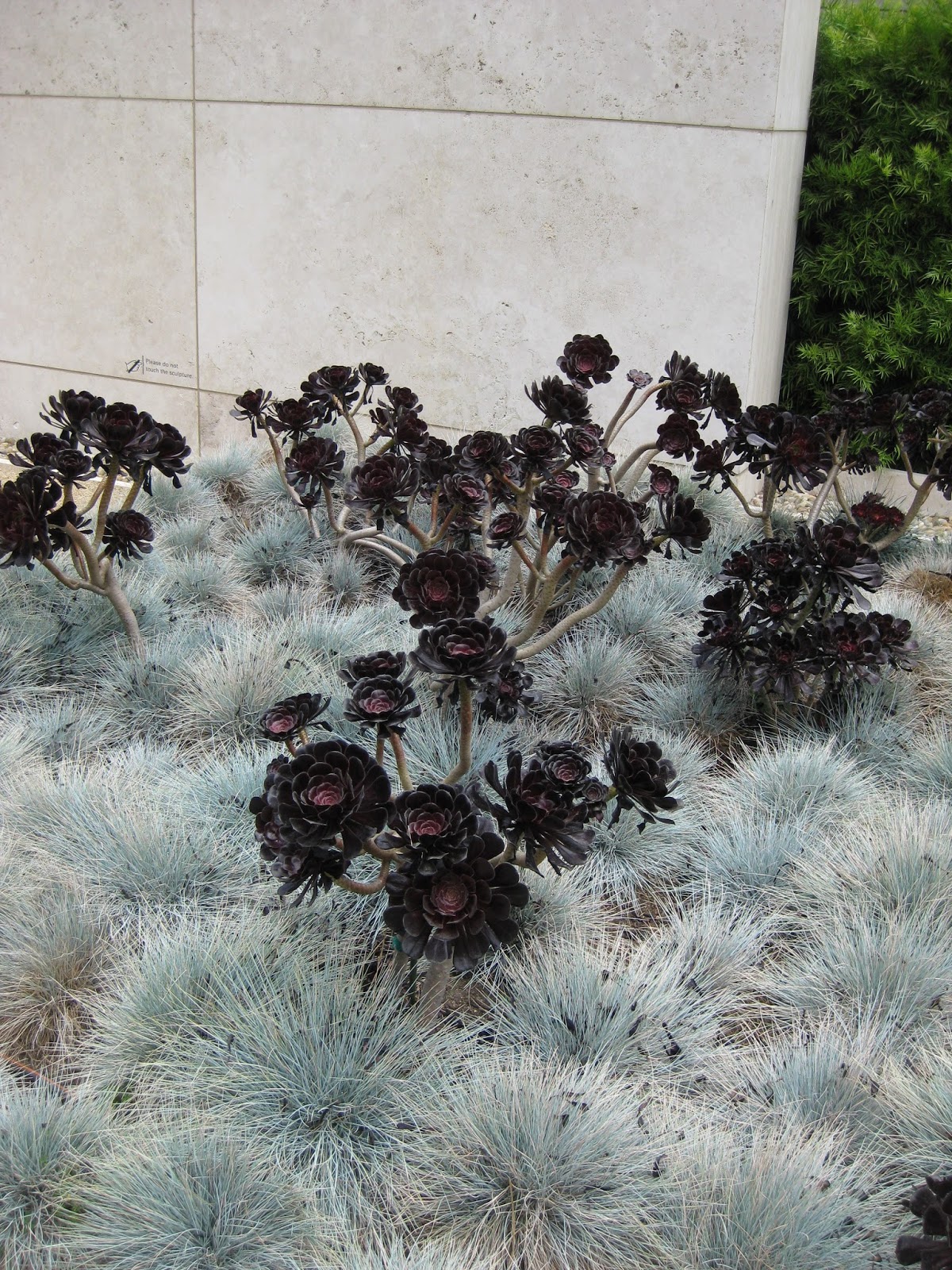 [64+] Shrubs Definition And Examples Téléchargement Gratuit Télécharger