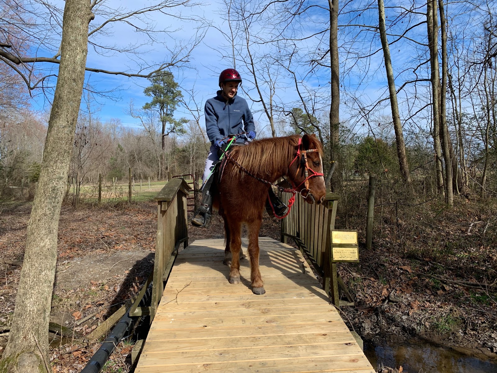 Mill Swamp Indian Horse Views Tell Me About The Mill Swamp Indian