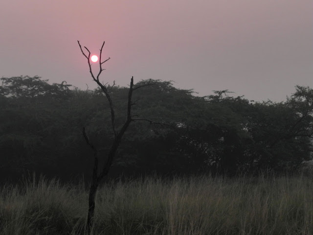 Weekend Getaways Delhi