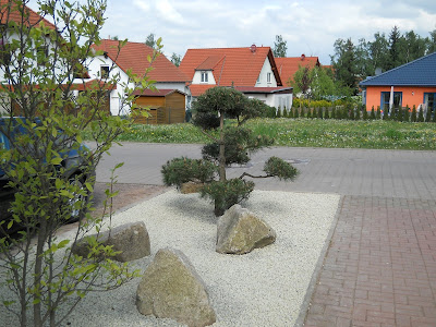 Gärtnertagebuch: Garten 1110: Kiesbeet mit Gartenbonsai