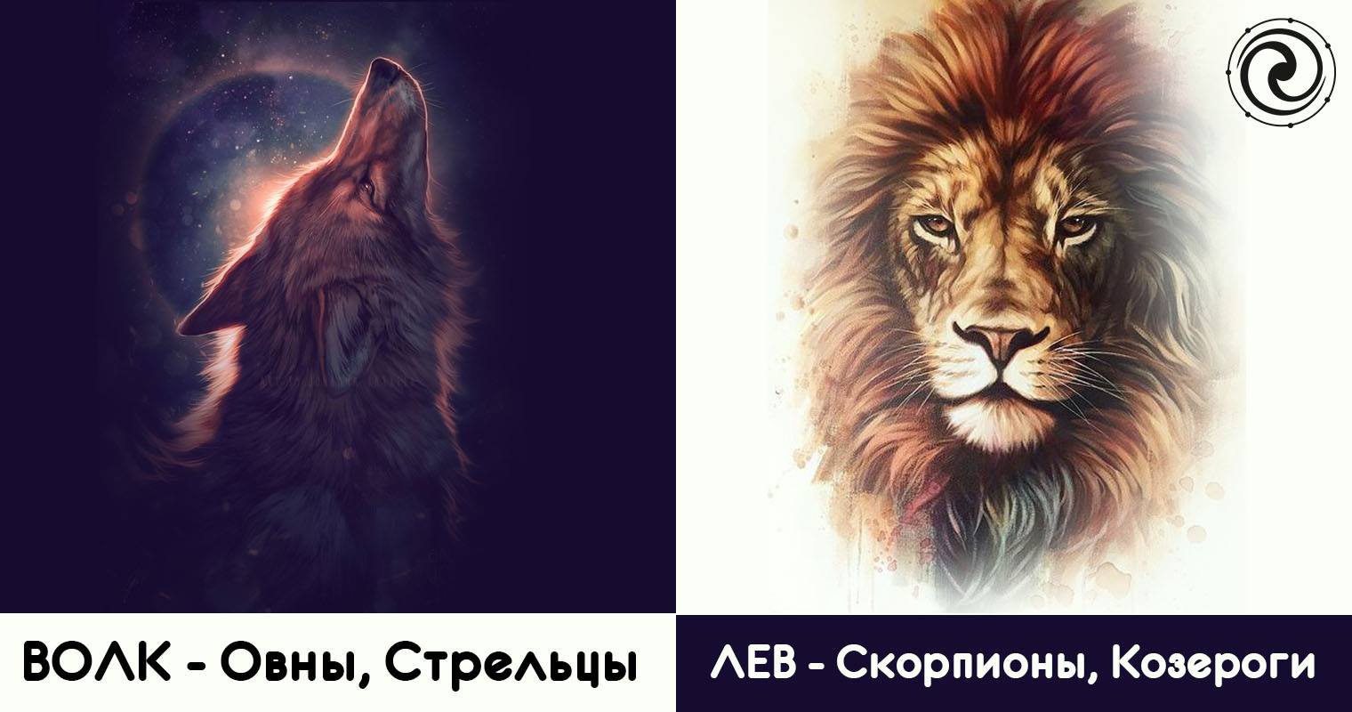 Лев и скорпион дружба. Овен волки. Лев и Скорпион. Какое животное соответствует характеру. Какое животное соответствует типу твоего характера.