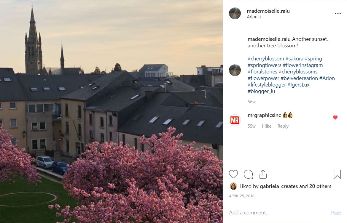 Sowing The Seeds Flowering Shrubs Viburnums Flowering Almonds