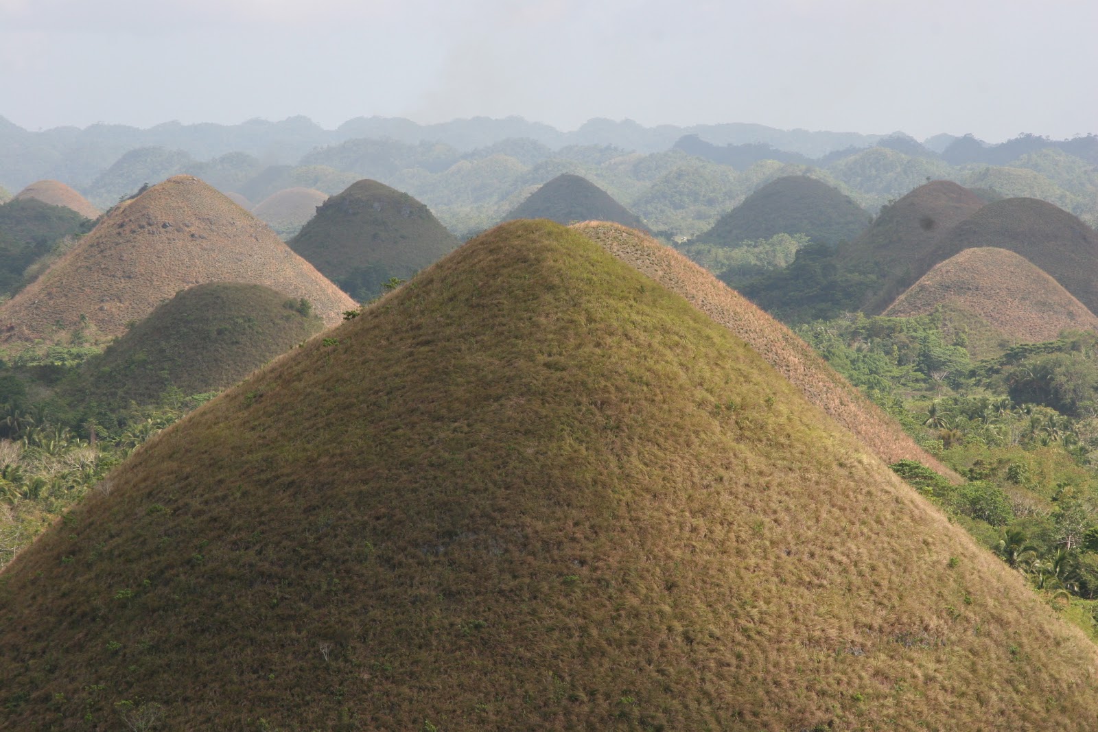 Stella Arnaldo's Blog Travel Bites Bohol has got it all