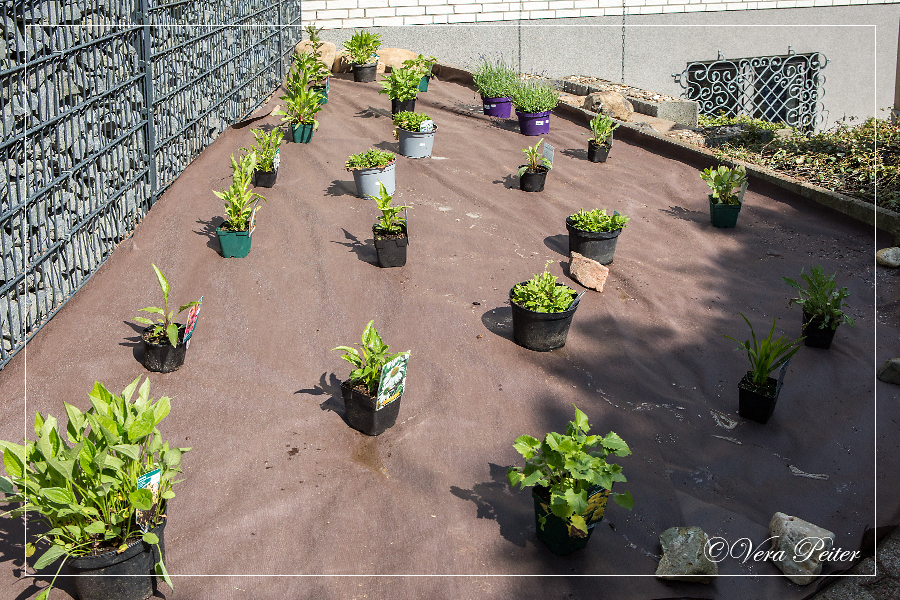 Artifactum Ver Bilis Blog Gartenarbeiten Und Zitat