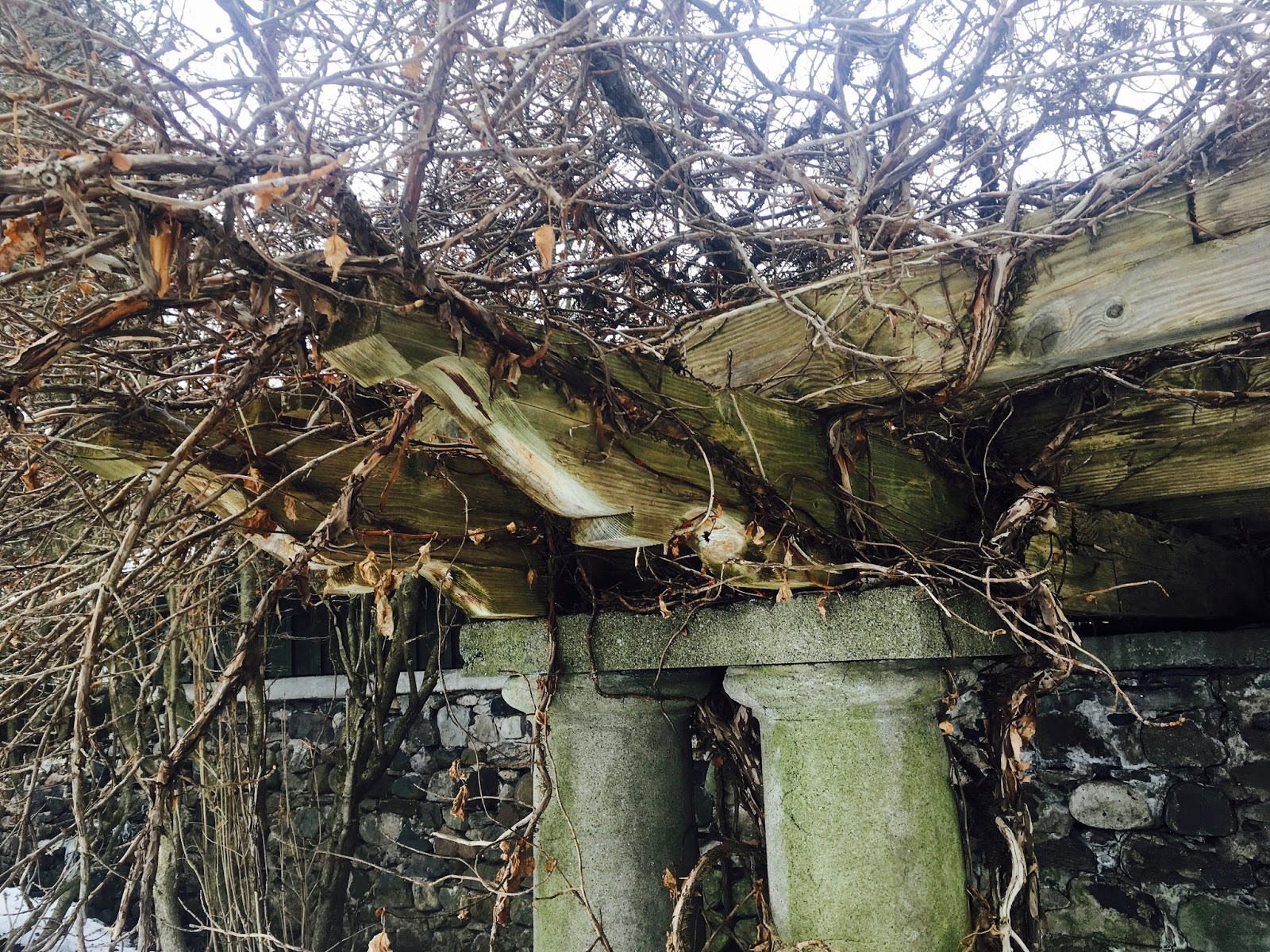 Mop Philosophy Winter Gardens at Langdon Hall