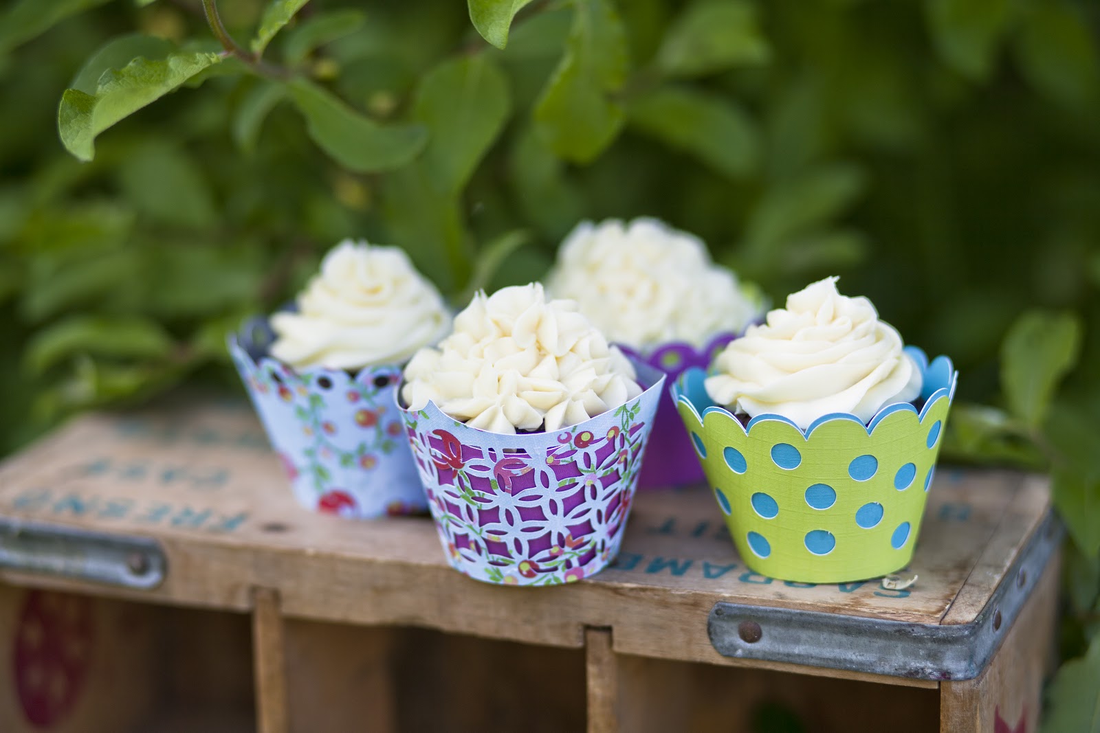 Jana Fitch Cakes Delicious cupcakes wearing some very fun wrappers.