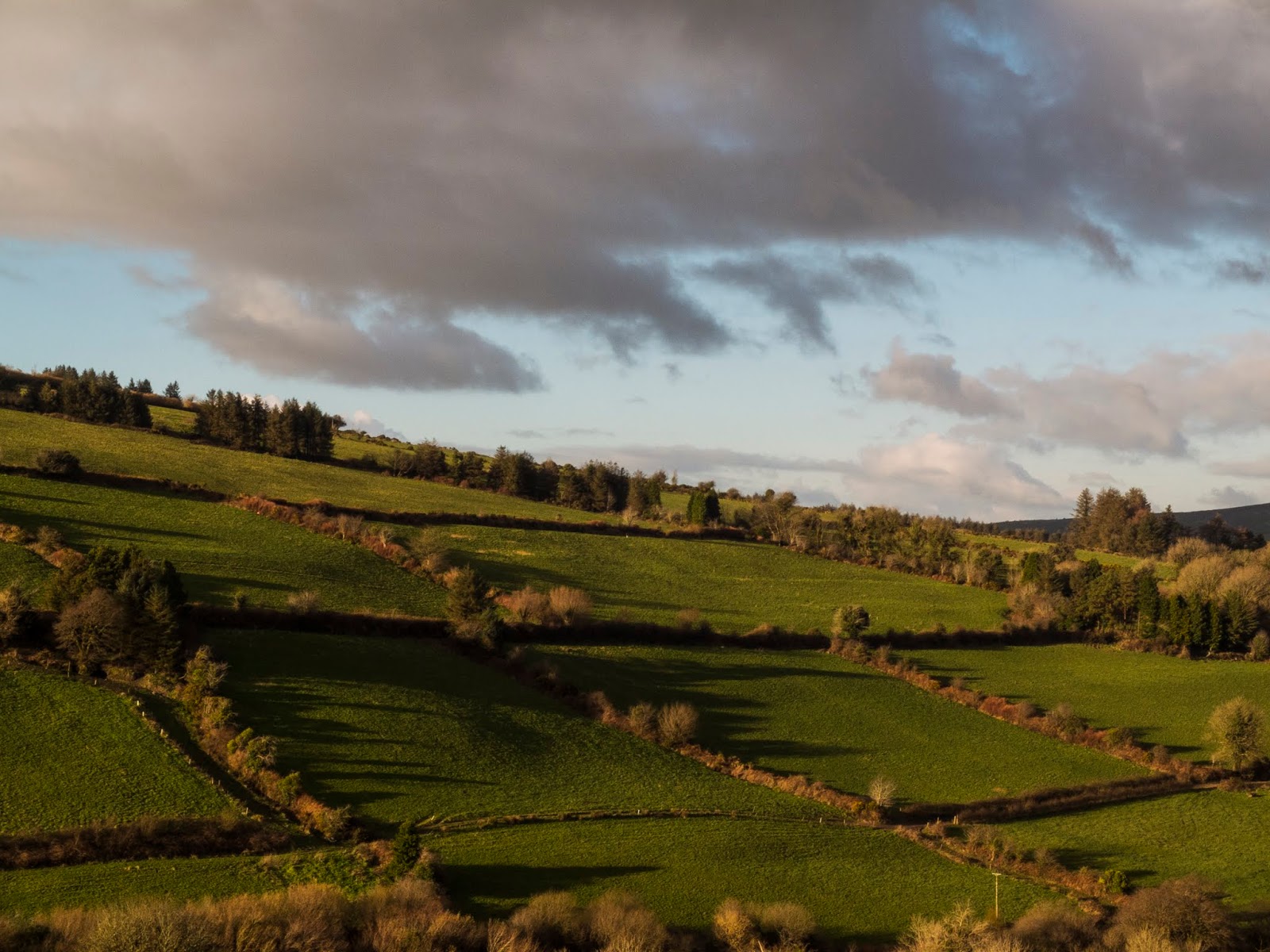 Mountainside Landscape of a mountainside in North County Cork.