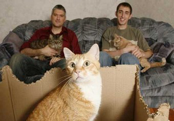 Paul Klusman Cat Videos Paul Klusman Cat Videos