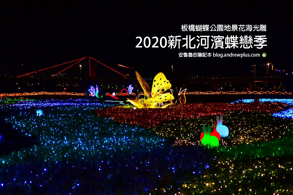 板橋蝴蝶公園地景花海光雕夜景2018~2020年歷史照片與介紹