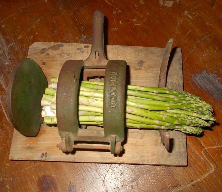 Log Cabin Antiques & Gifts Champion Asparagus Buncher
