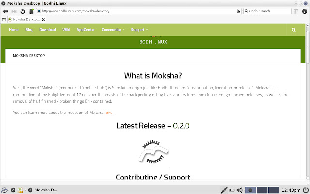 Midori web browser