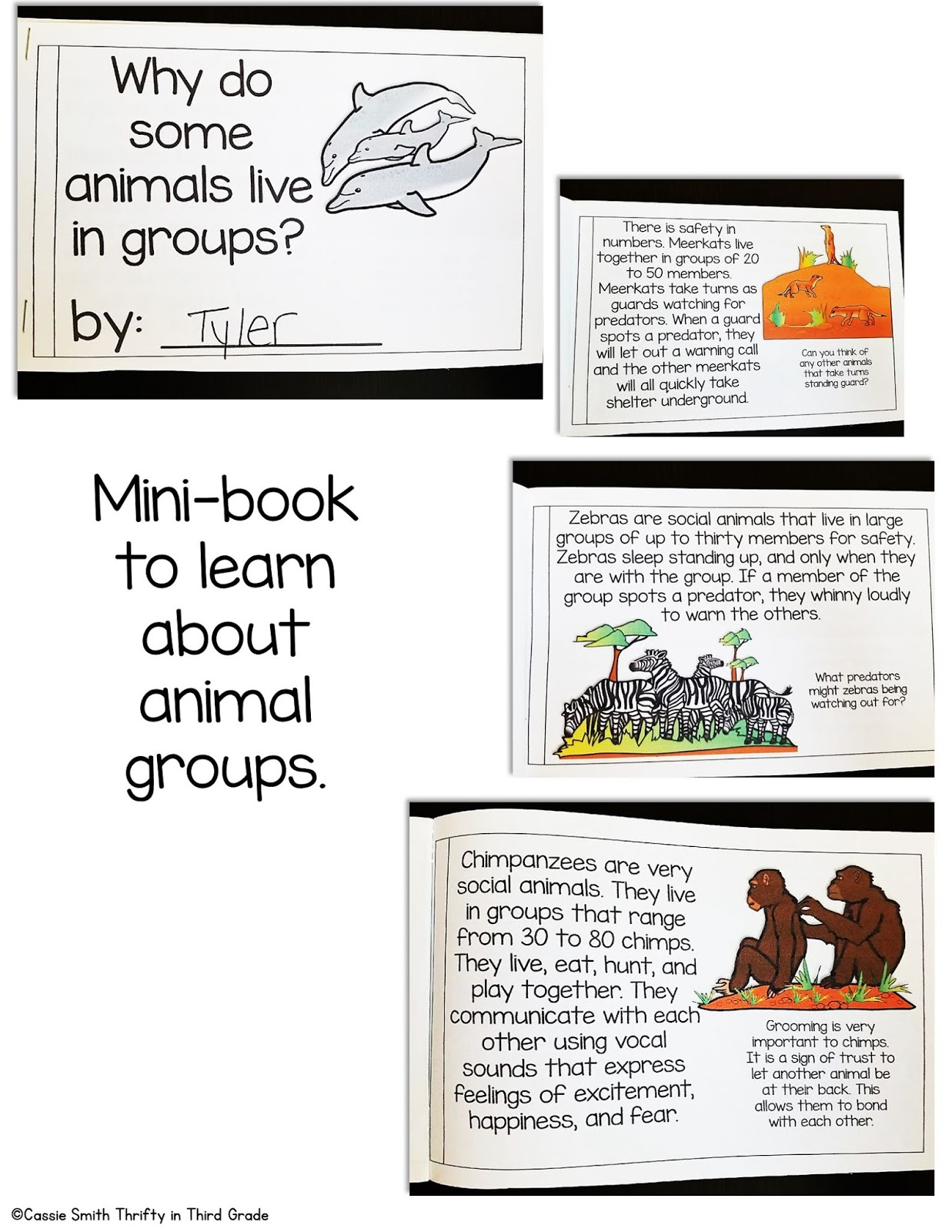 Interdependent Relationships in Ecosystems 3rd Grade NGSS Thrifty in