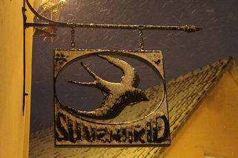 Día 8: Tallin. - Navidades en el Báltico (73)