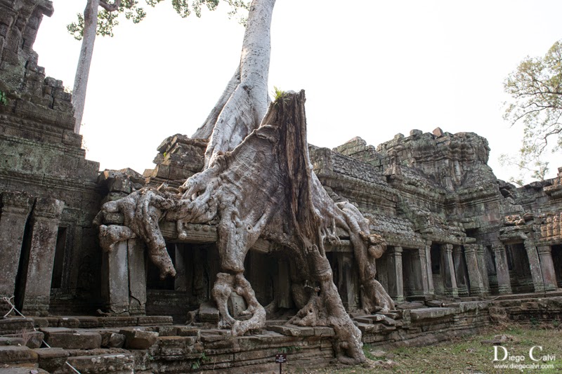 La joven Camboya - Vuelta al Mundo - Blogs de Camboya - Visita a los Templos de Angkor en bicicleta (2)