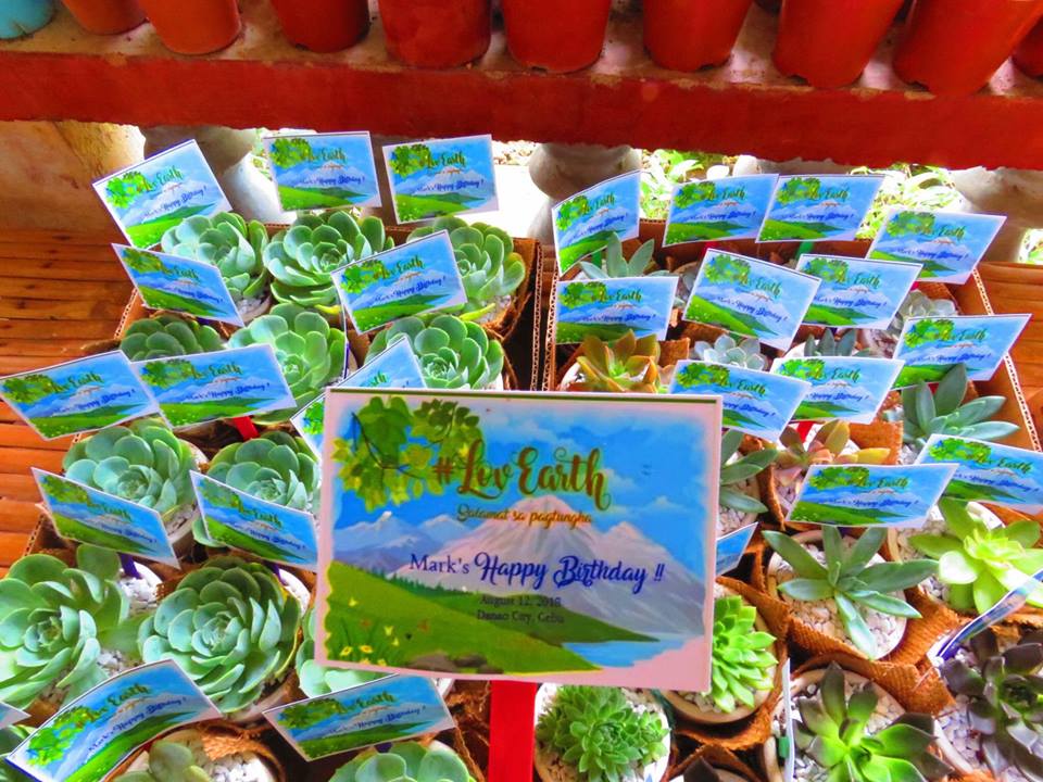 Succulents Cebu and Cactus Collection Cassiel's Succulent World