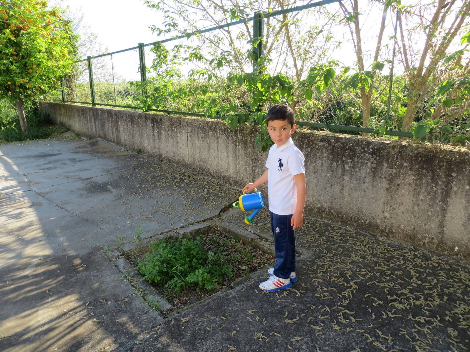 CPR.BEMBEZAR: LA PRIMAVERA HA LLEGADO A CÉSPEDES