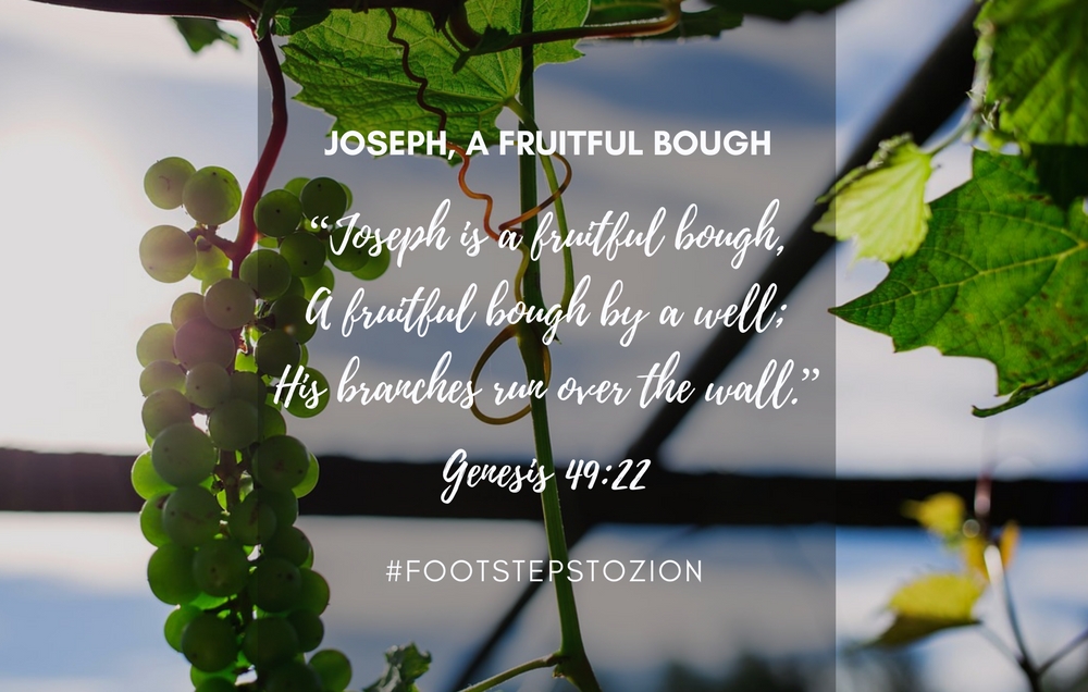 Bough Def JOSEPH, A FRUITFUL BOUGH