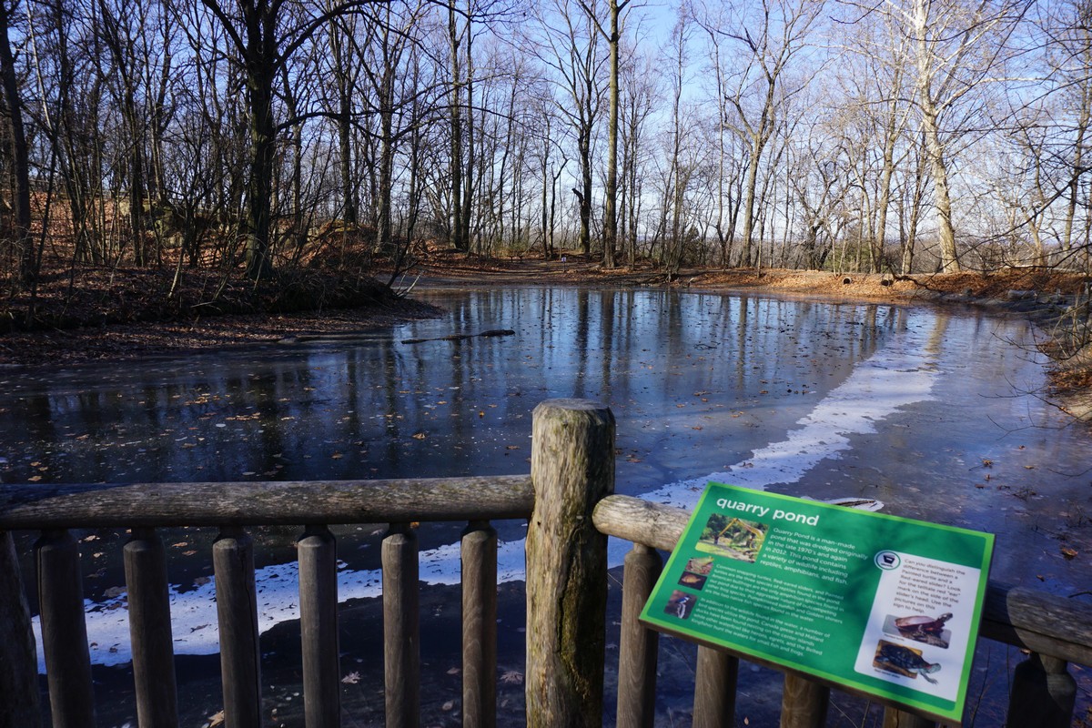 Harriman Hiker Harriman State Park and Beyond Flat Rock Brook Nature