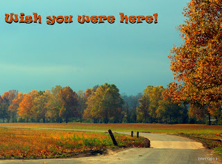 Forsythkid: November 2011