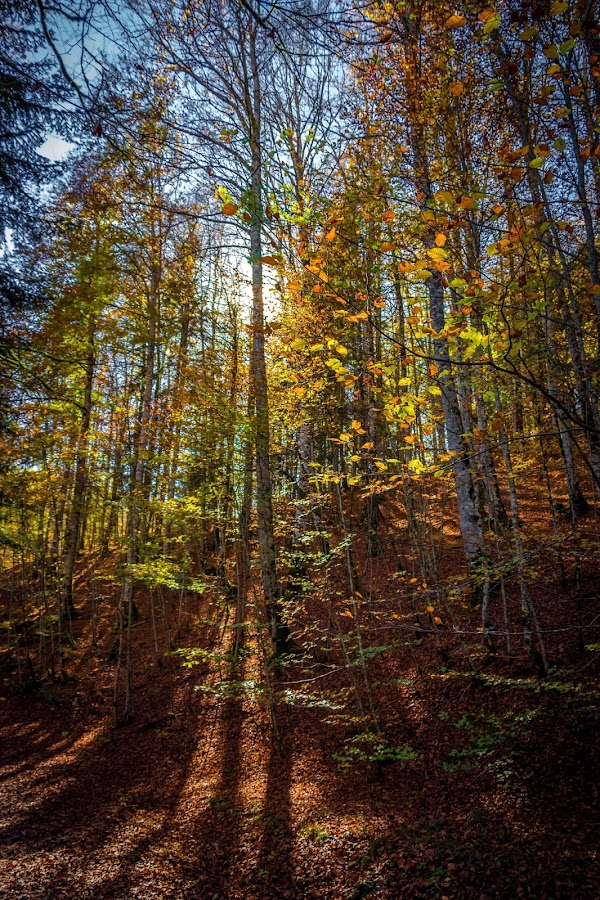 España, Navarra, Pirineo