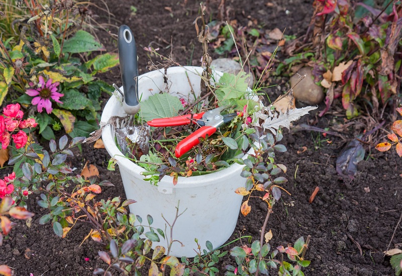 A Rescue Bin Hire Blog Tips for Clearing Garden Waste by Yourself