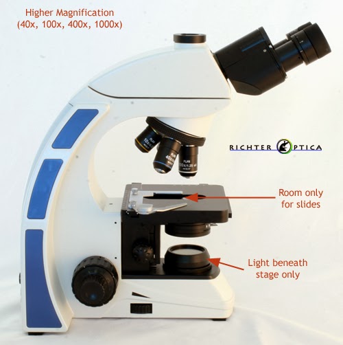 biology microscope diagram