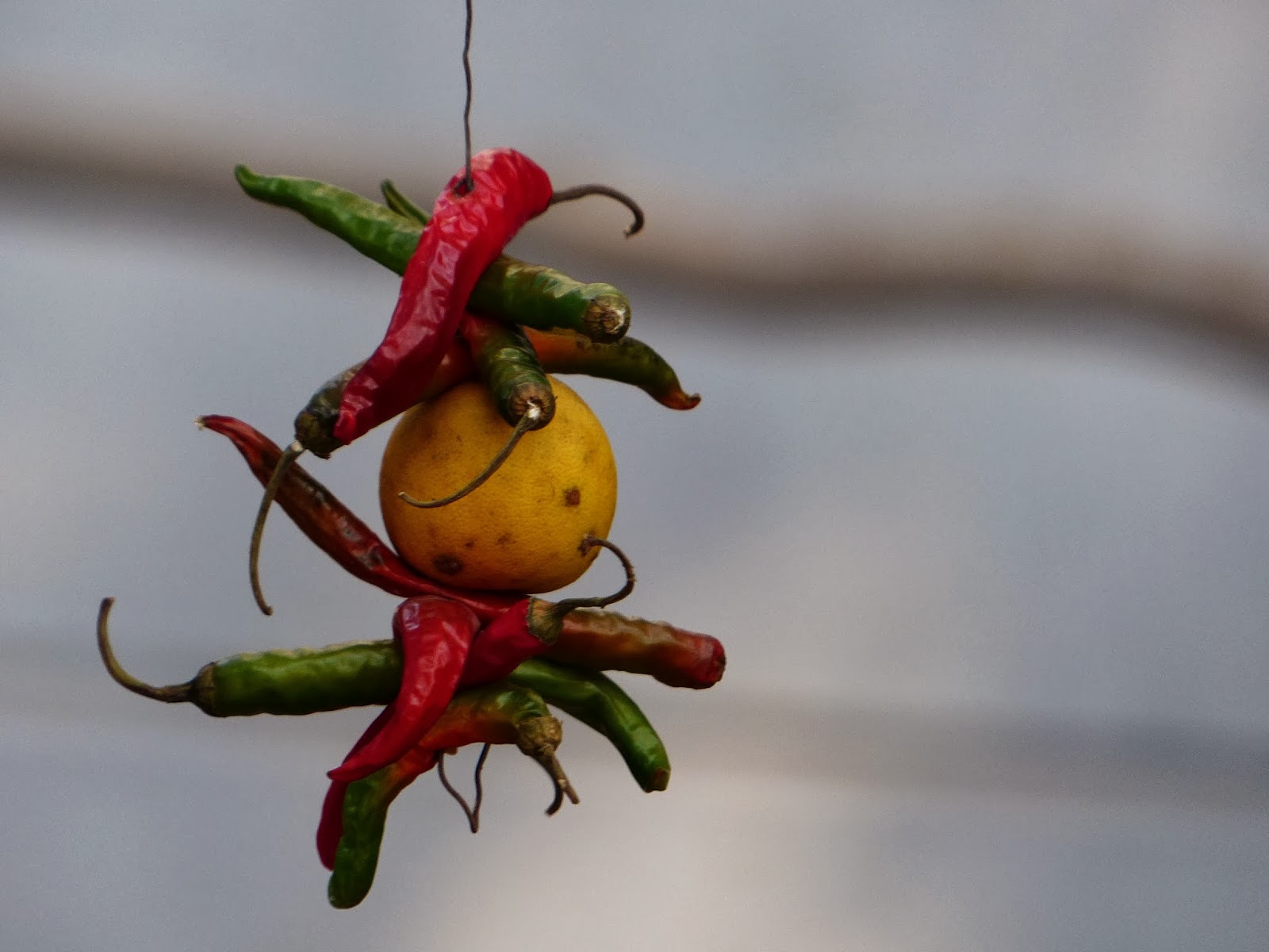 9chillies.JPG