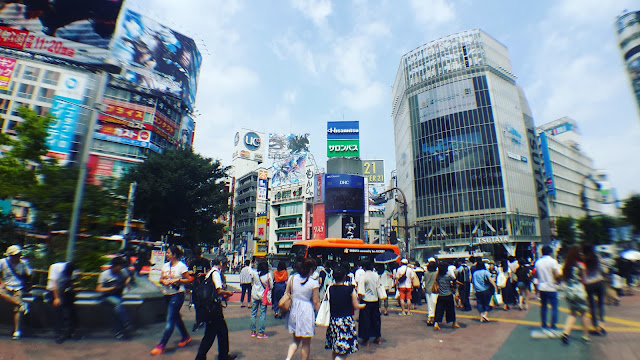 Tokyo day 3 Meiji Jingu shrine, omotesando, Tower Records, Shibuya and Hachiko statue