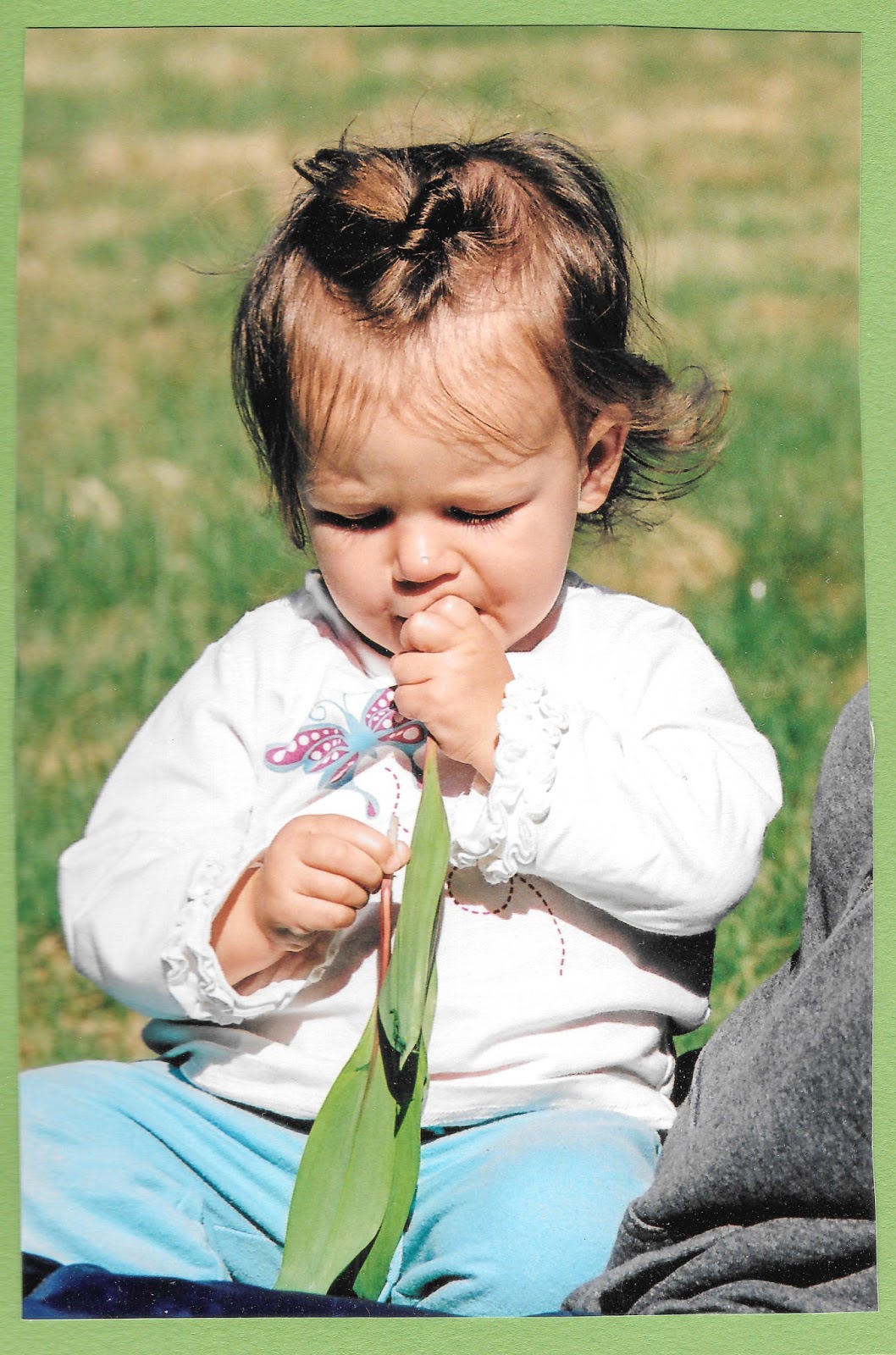 The 3 Foragers Foraging for Wild, Natural, Organic Food Ramps Recipe