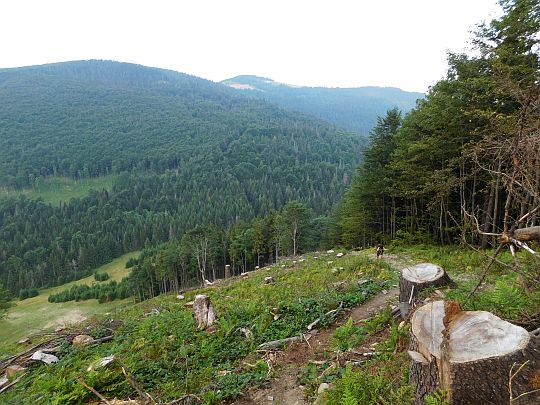 Widok ze stoku Świtkowej.