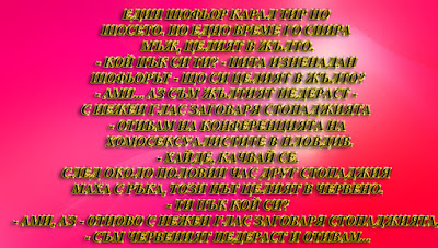 Един шофьор карал ТИР по шосето Един шофьор карал ТИР по шосето