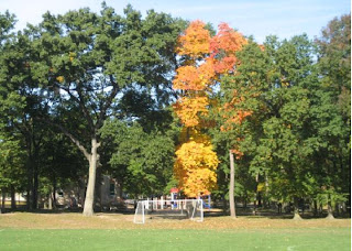 Hawes Leaves theridgewoodblog%252Cnet