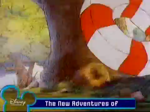 The New Adventures of Winnie The Pooh: Rabbit Marks the Spot