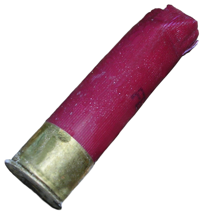 Brass-capped red shotgun shell. 