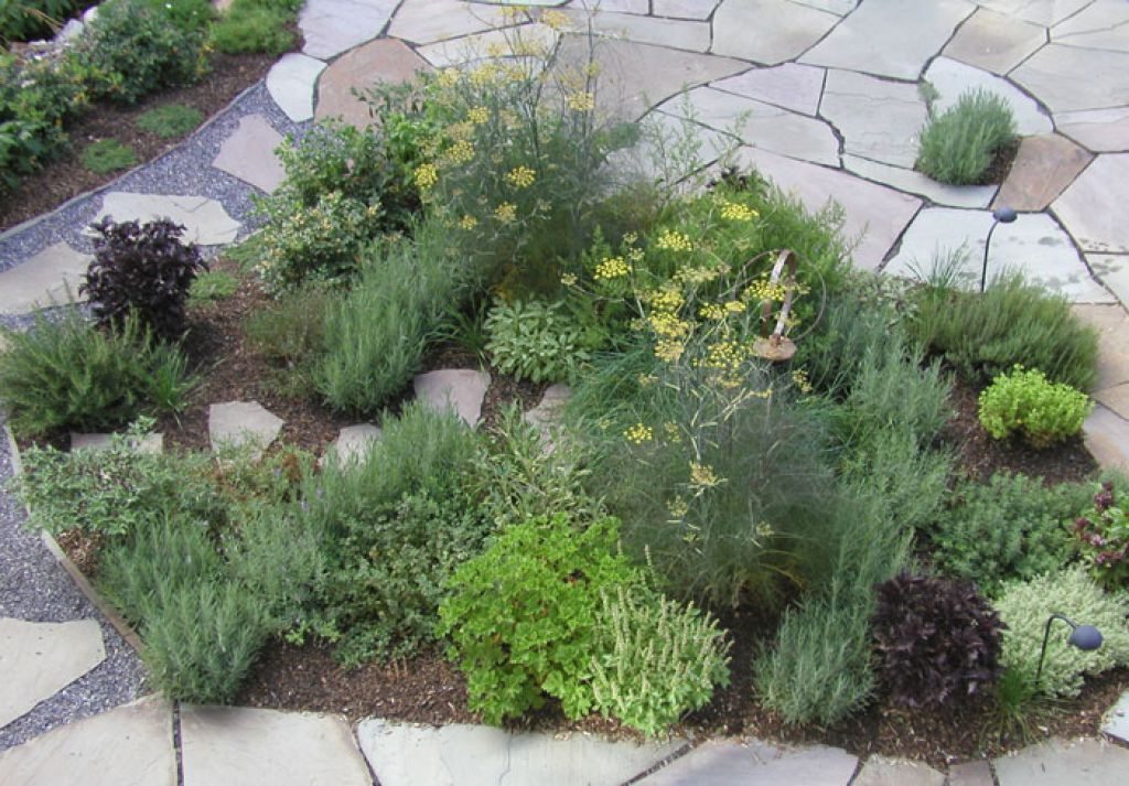 Herbal Blessing: HERB GARDEN BASICS