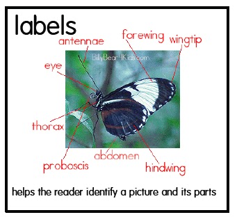 Joyful Learning In KC: Nonfiction Text Features