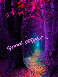 Good Night Good Night