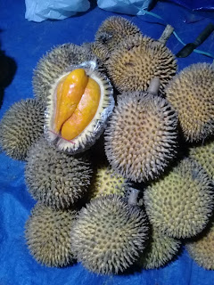 warna papakin yang cerah menarik perhatian pembeli buah papakin berwarna oranye